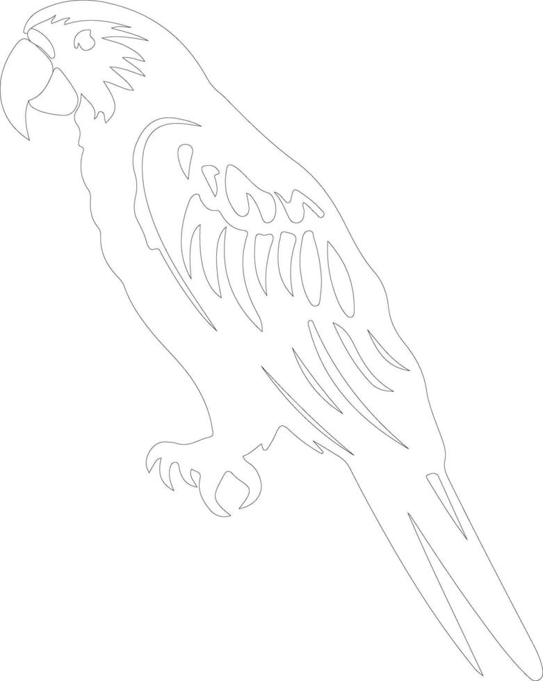 AI generated macaw  outline silhouette vector