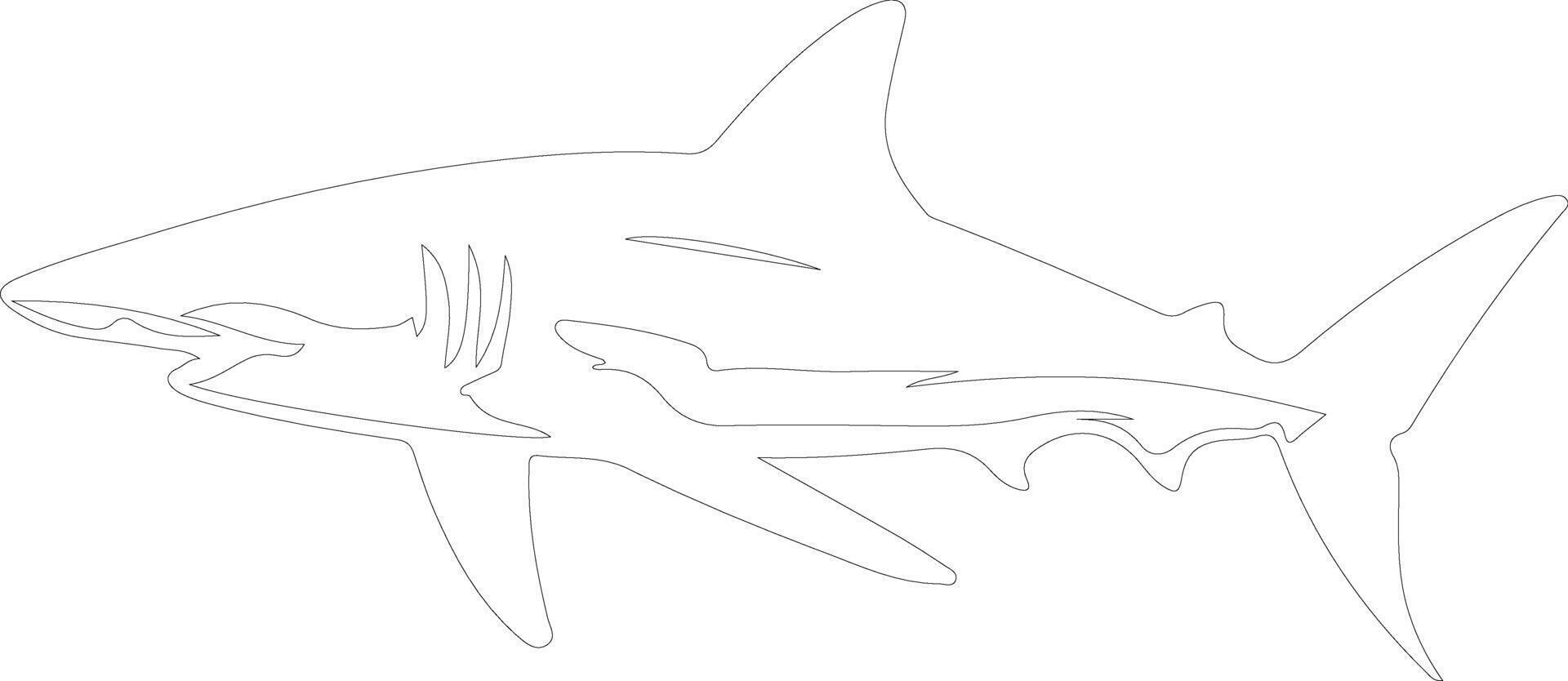 AI generated mako shark  outline silhouette vector