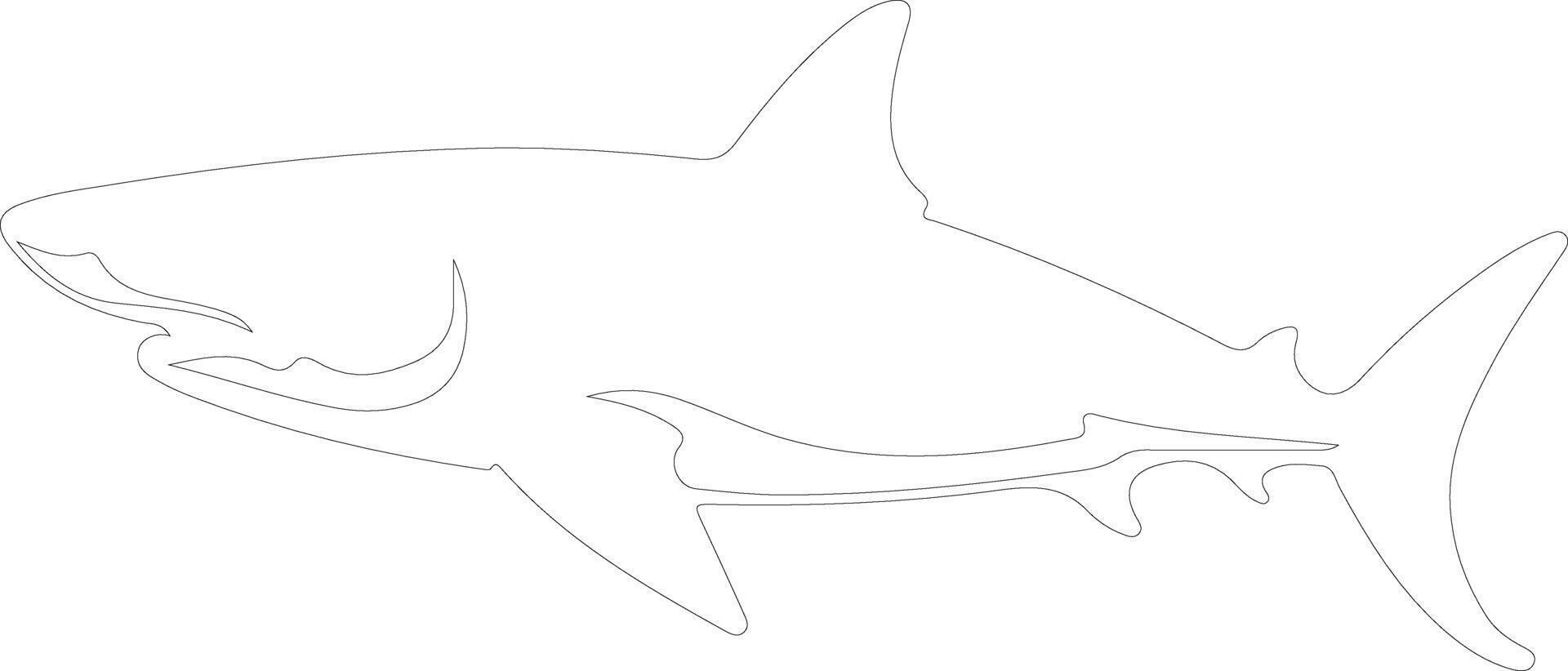 AI generated mako shark  outline silhouette vector