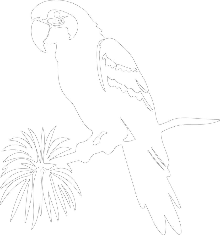 AI generated macaw  outline silhouette vector