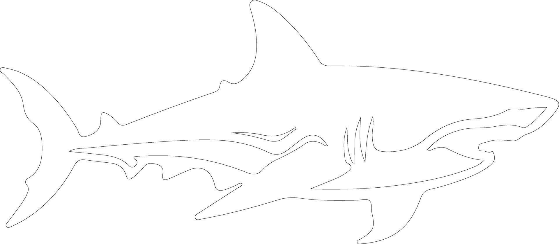 AI generated mako shark  outline silhouette vector