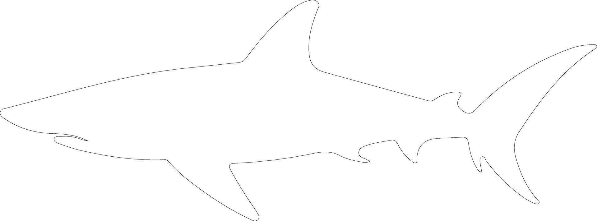 AI generated mako shark  outline silhouette vector