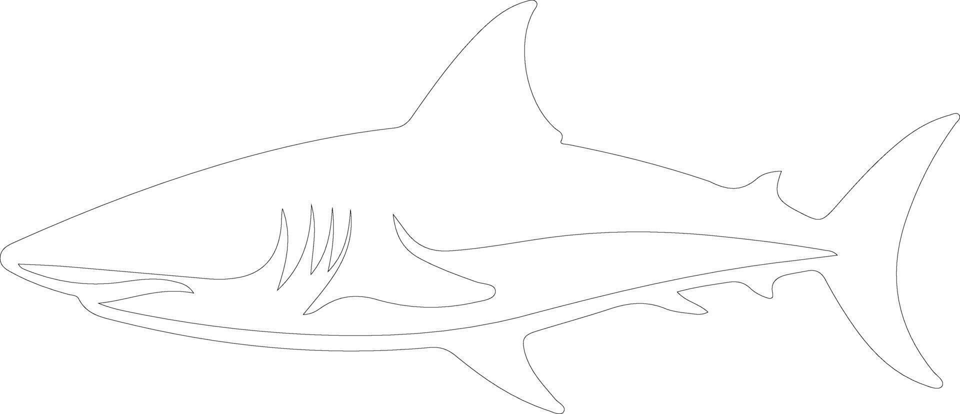 AI generated mako shark  outline silhouette vector