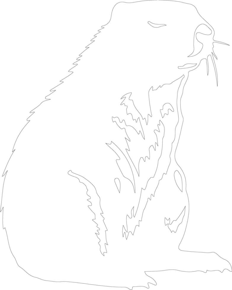 AI generated marmot  outline silhouette vector