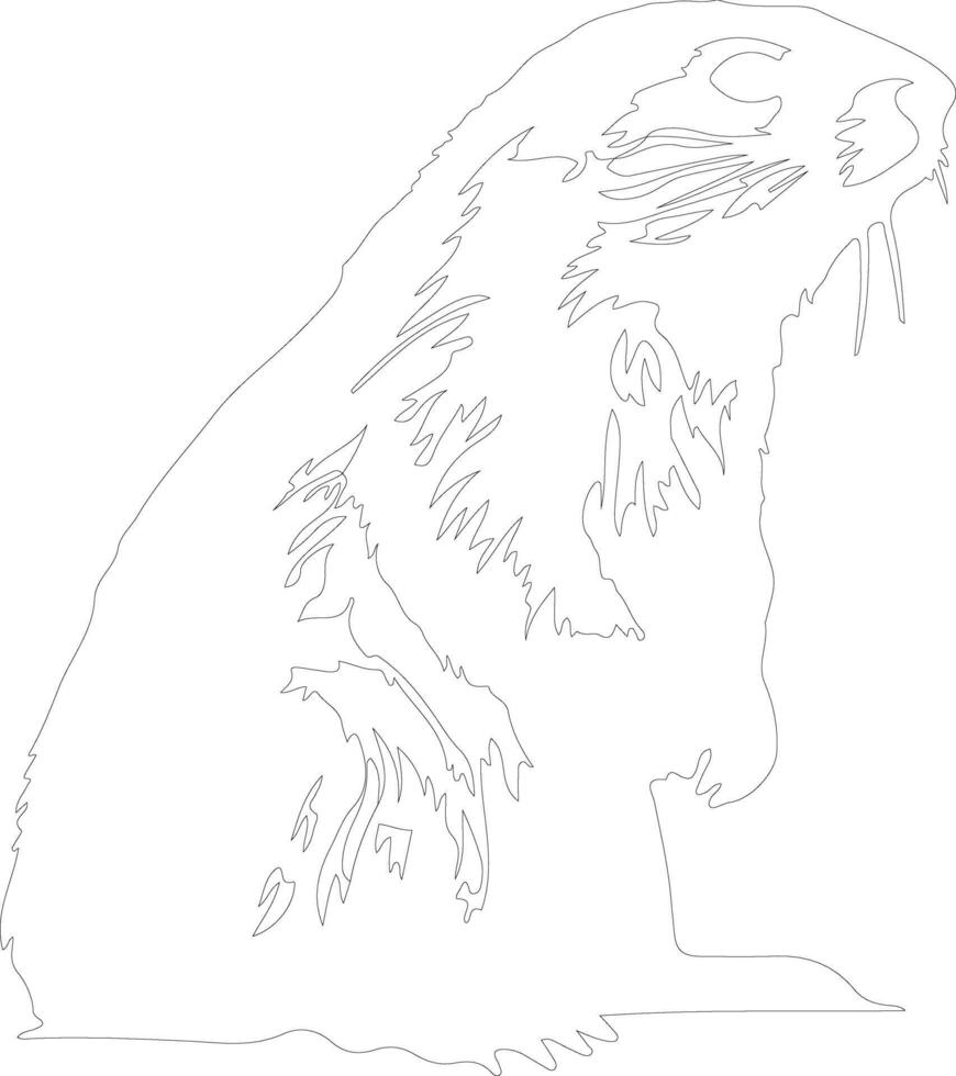 AI generated marmot  outline silhouette vector