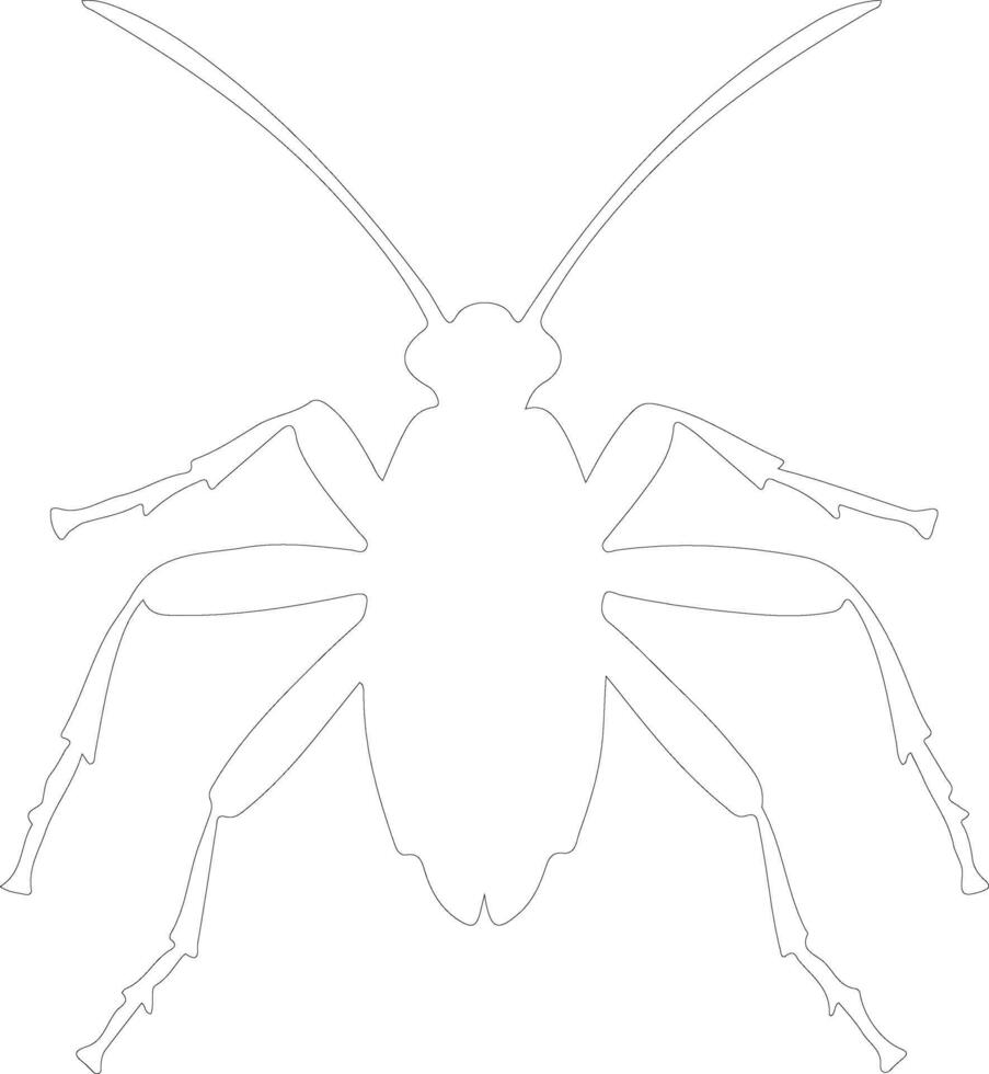 AI generated katydid  outline silhouette vector