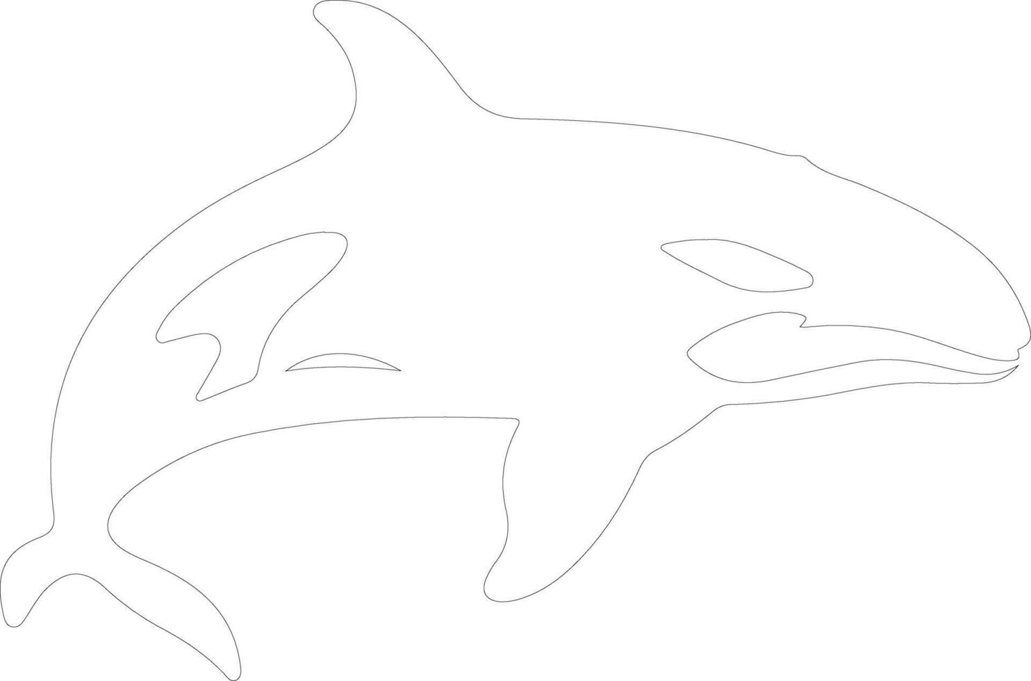 AI generated killer whale outline silhouette vector