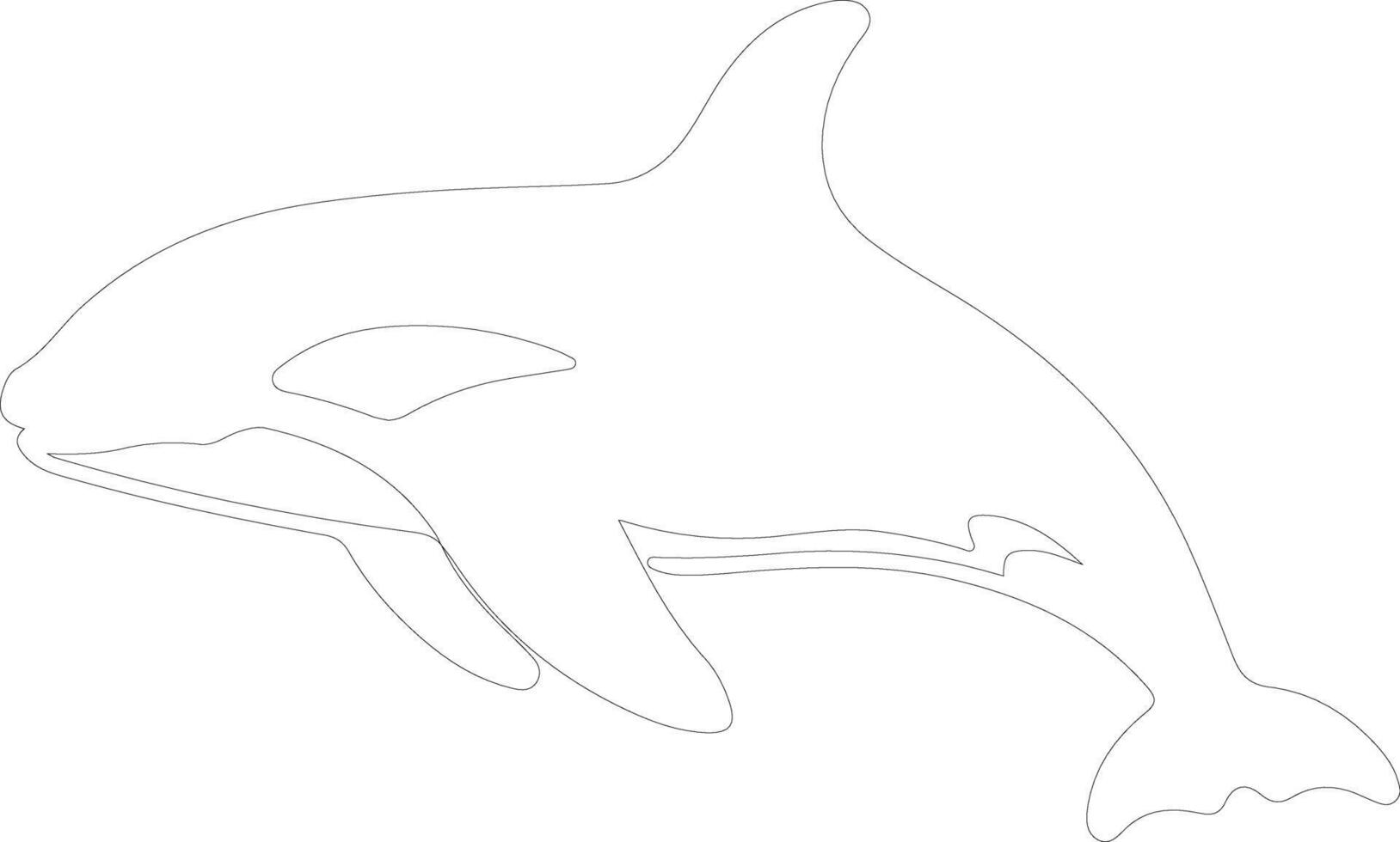 AI generated killer whale  outline silhouette vector
