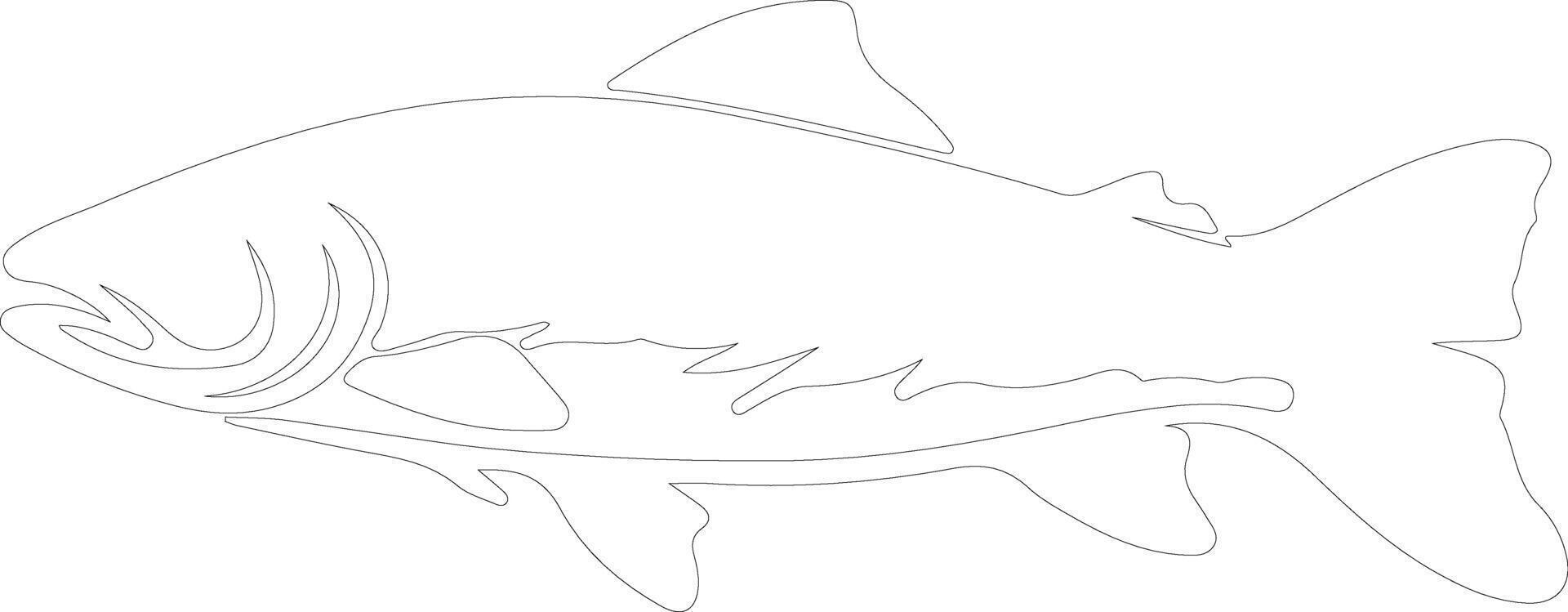 AI generated lake trout  outline silhouette vector