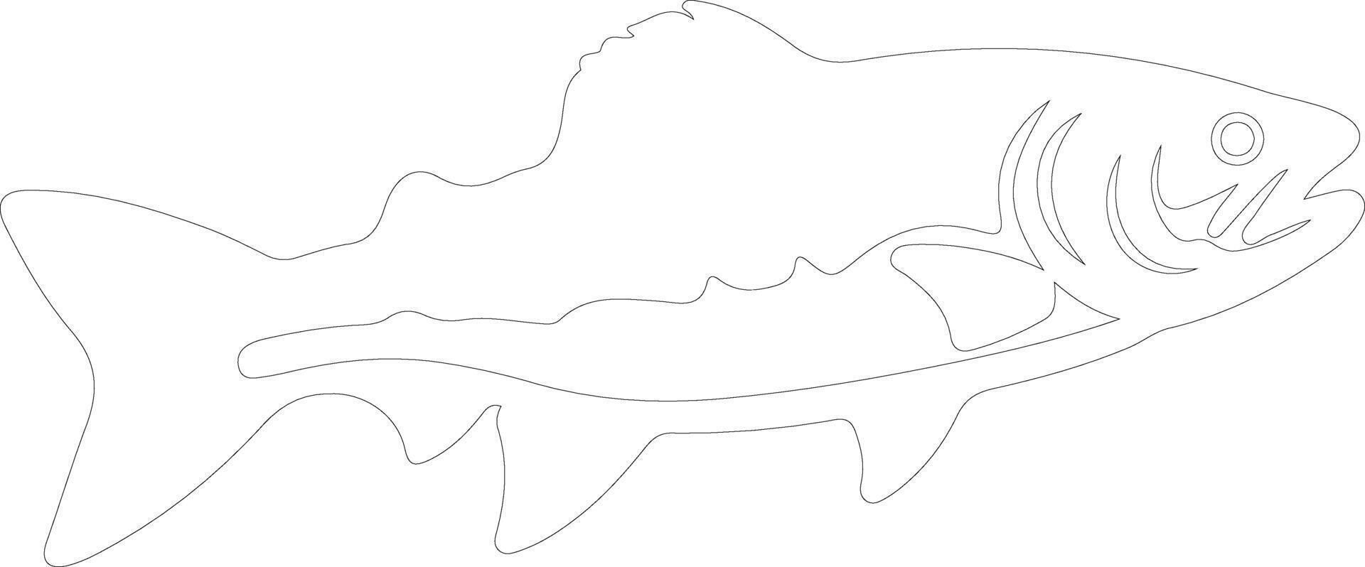 AI generated lake trout  outline silhouette vector