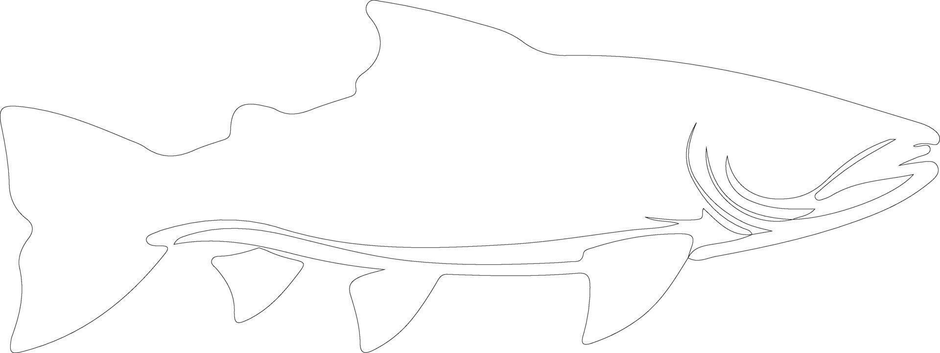 AI generated lake trout  outline silhouette vector