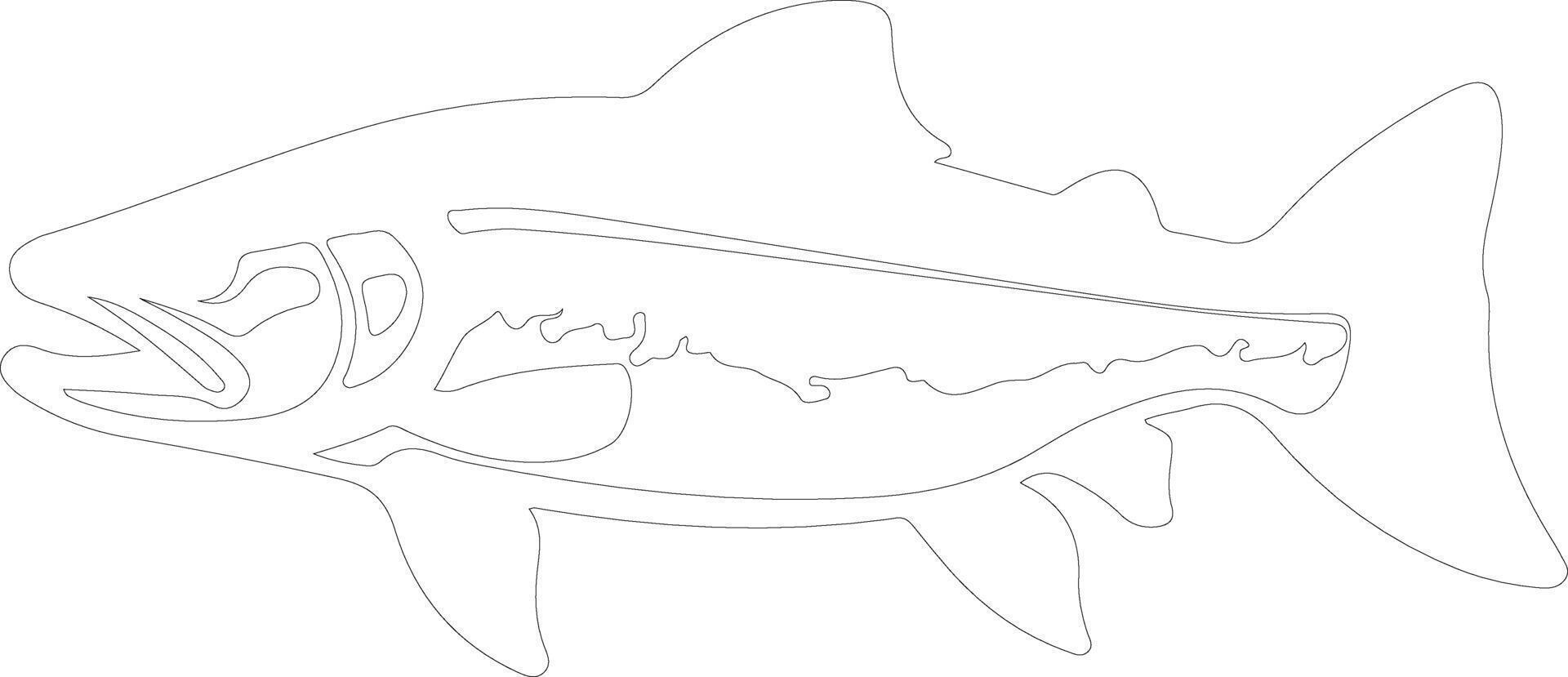 AI generated lake trout  outline silhouette vector