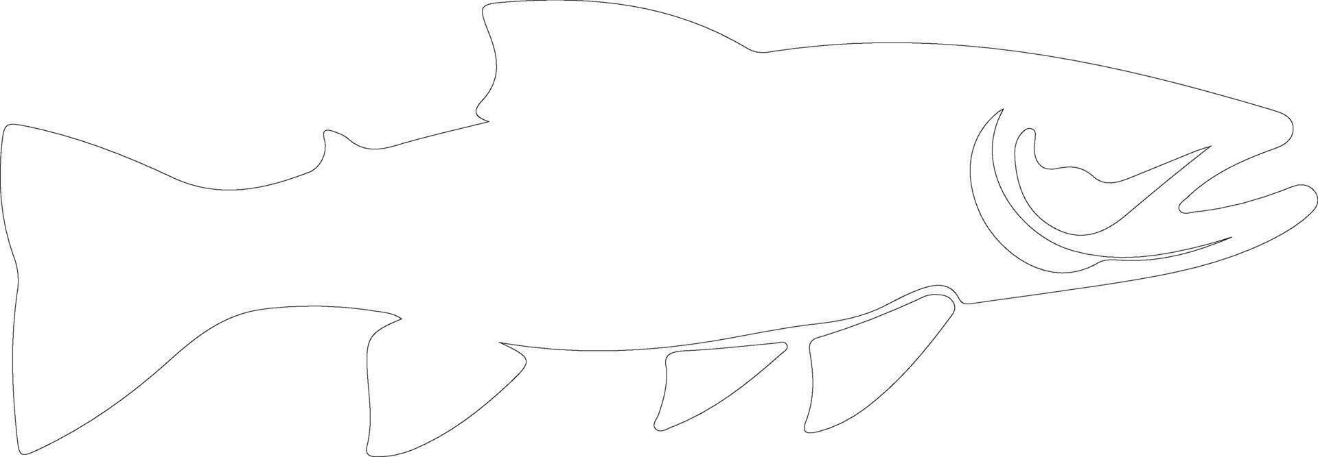 AI generated lake trout  outline silhouette vector