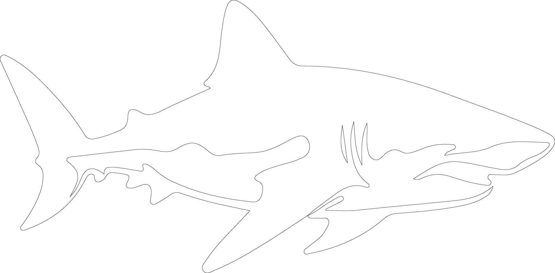 AI generated lemon shark  outline silhouette vector