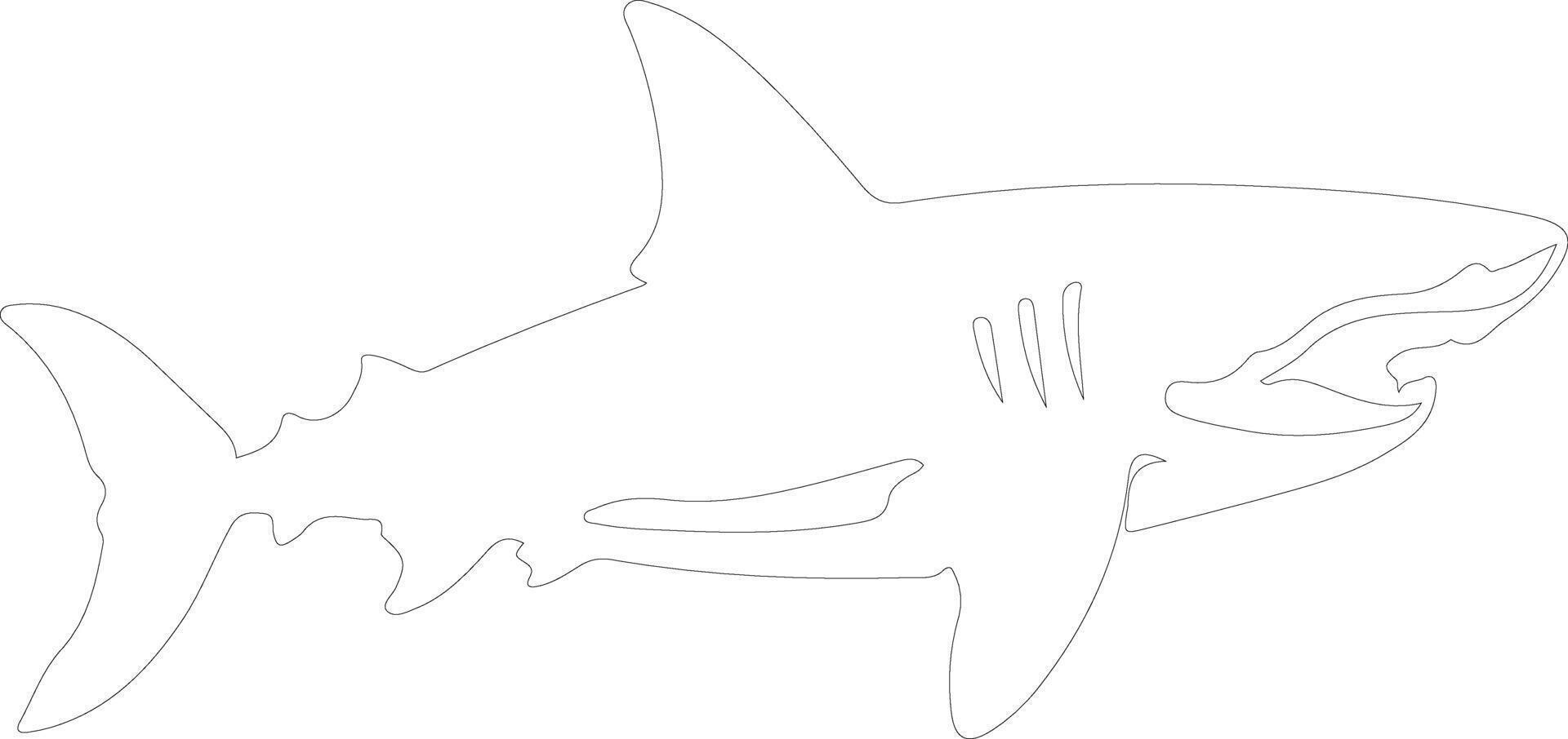 AI generated Megalodon  outline silhouette vector