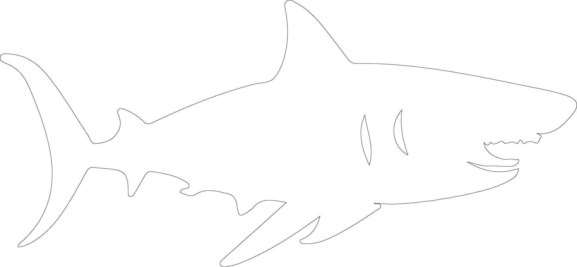 AI generated Megalodon outline silhouette vector