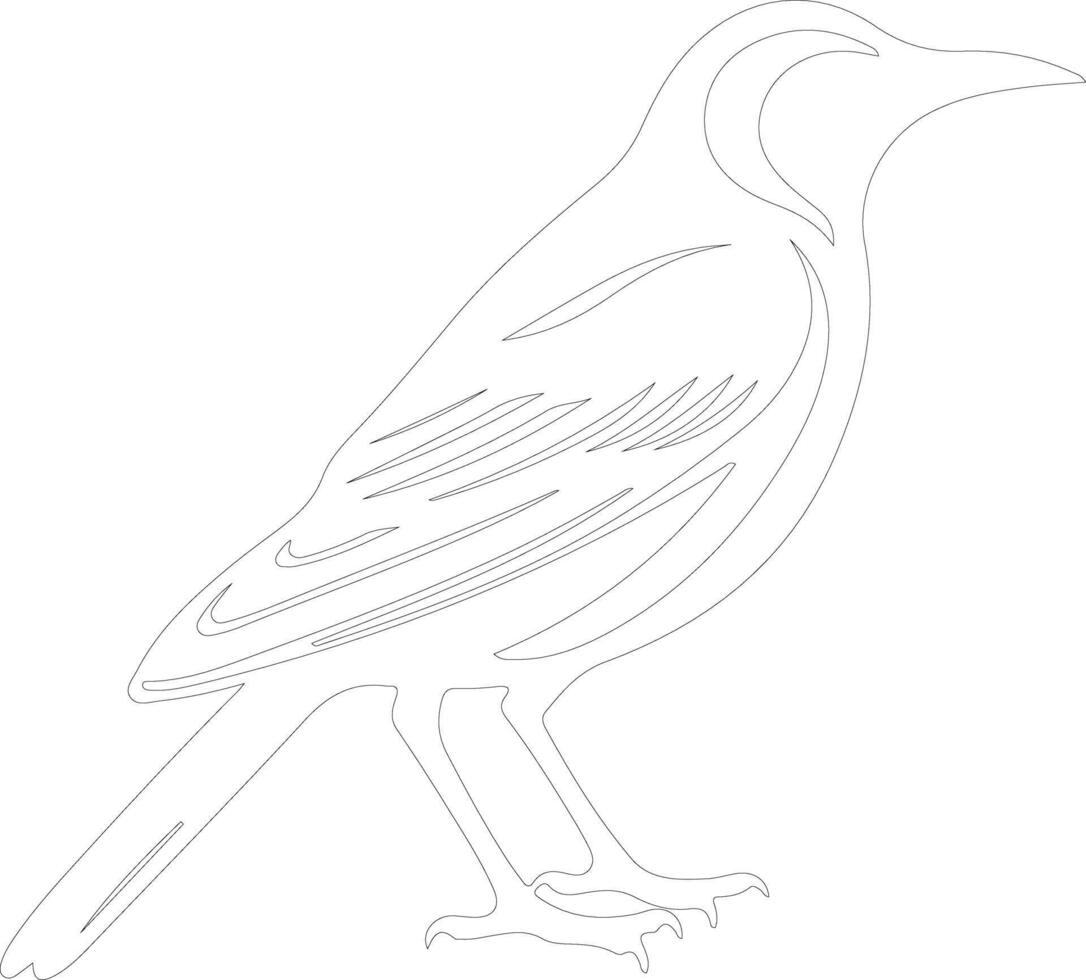 AI generated meadowlark  outline silhouette vector