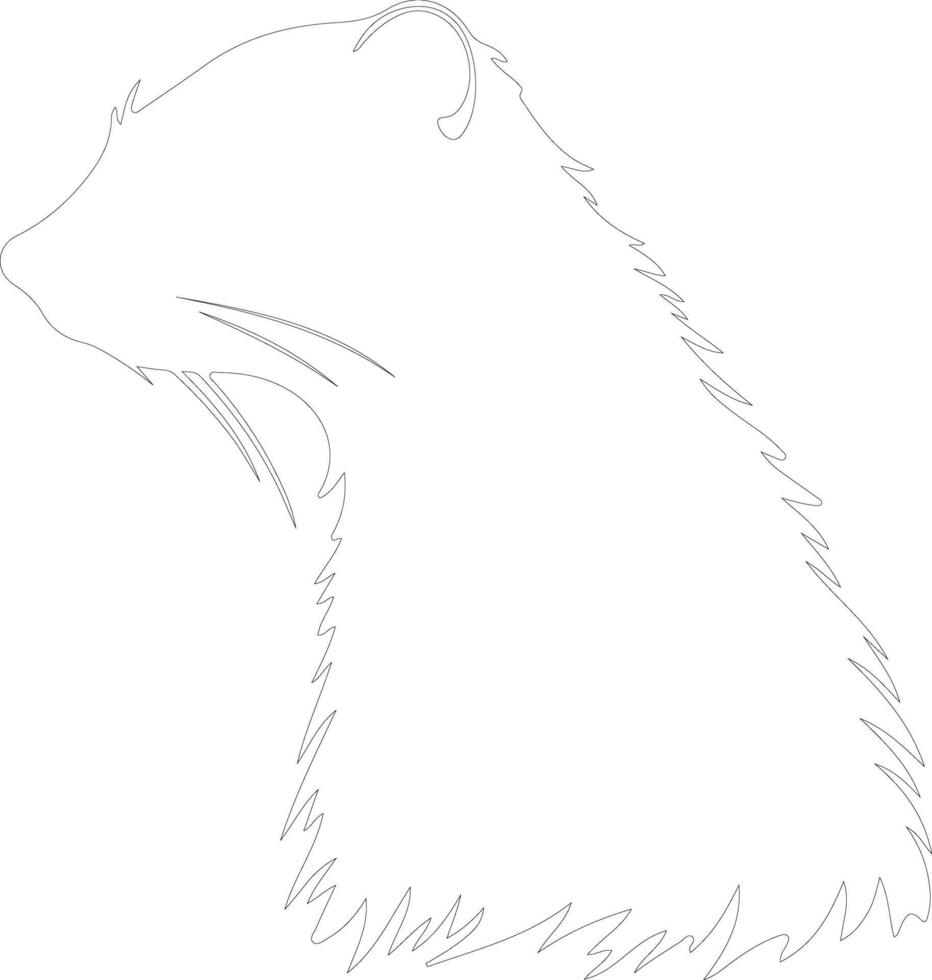 AI generated mink  outline silhouette vector