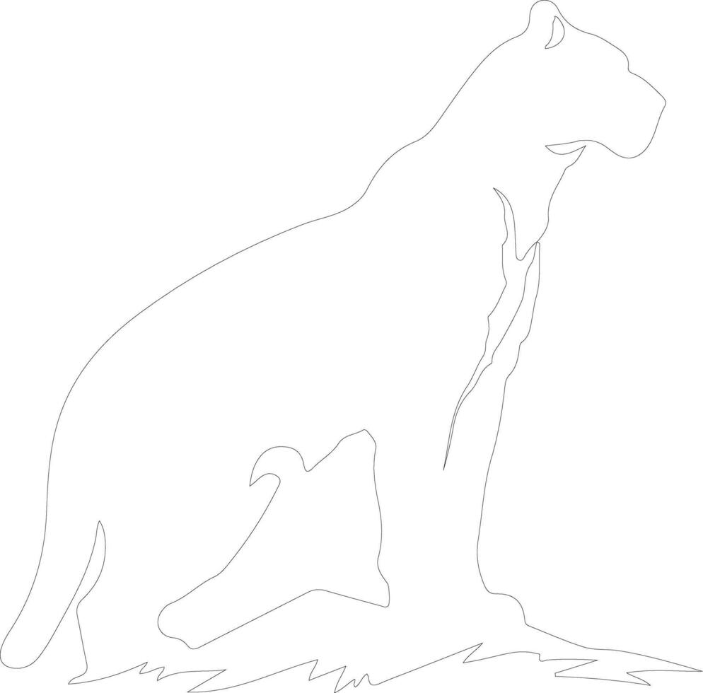 AI generated mountain lion  outline silhouette vector