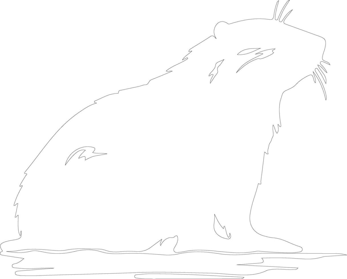 AI generated North American beaver  outline silhouette vector