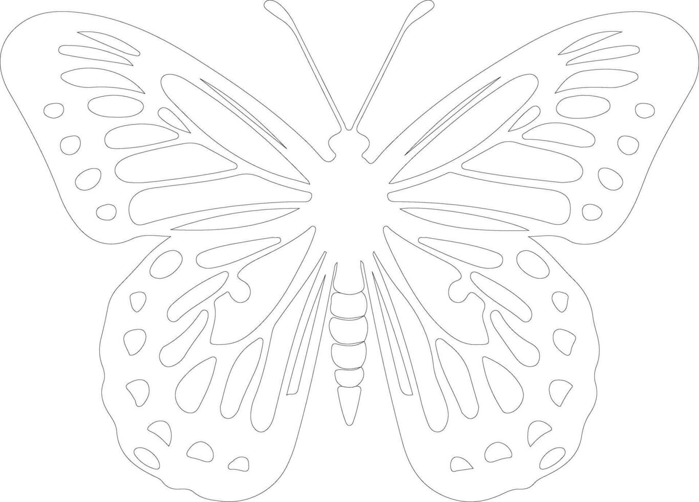 AI generated Oregon silverspot butterfly  outline silhouette vector