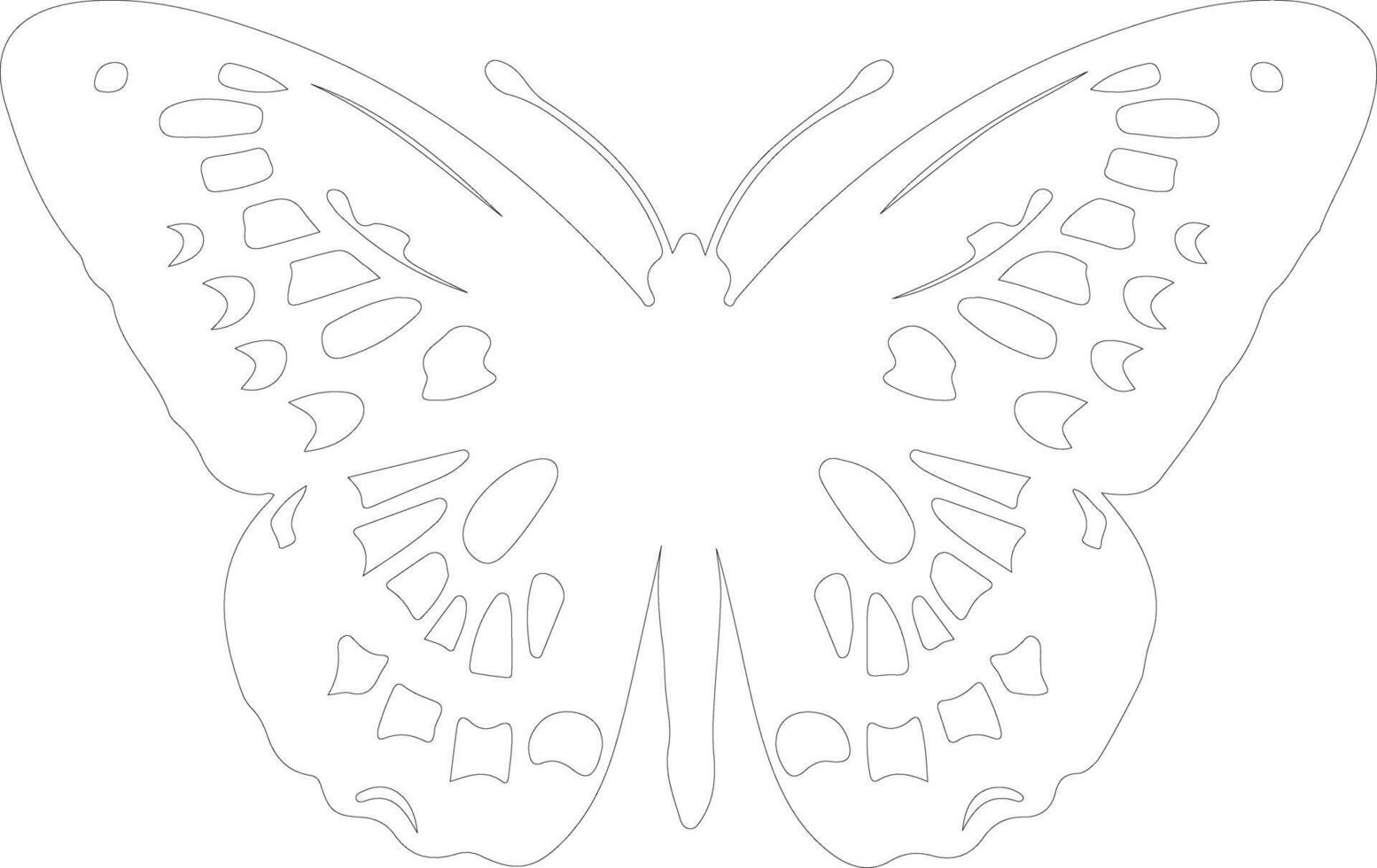 AI generated Oregon silverspot butterfly  outline silhouette vector