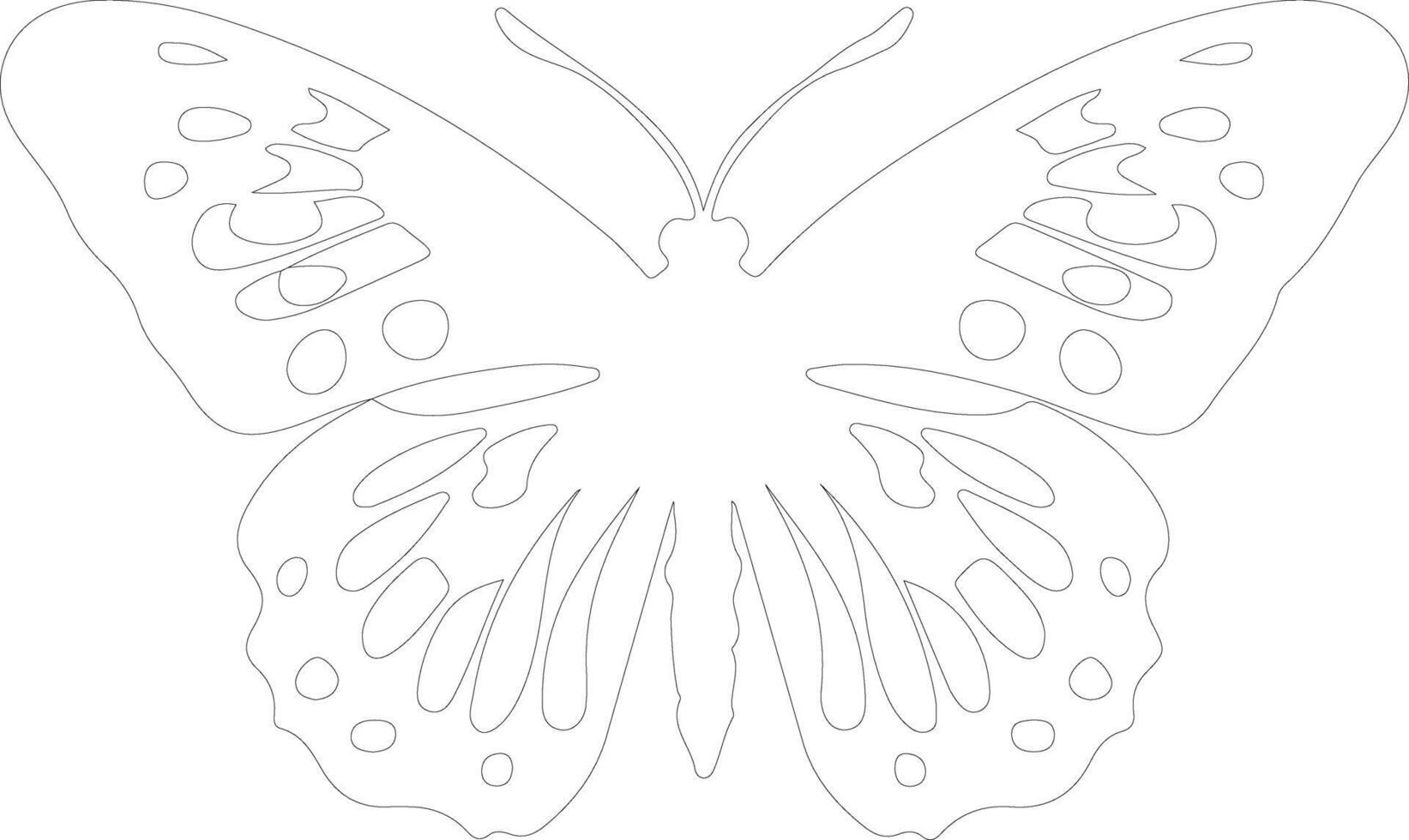 AI generated Oregon silverspot butterfly  outline silhouette vector