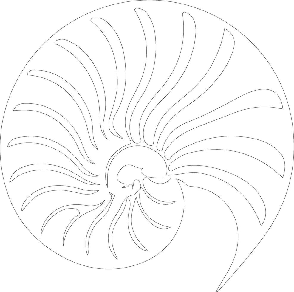 AI generated nautilus  outline silhouette vector