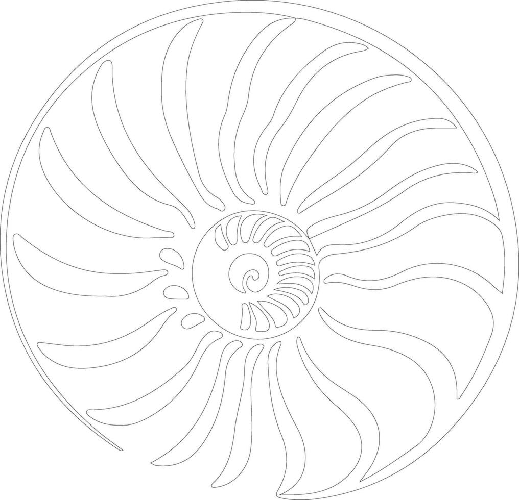 AI generated nautilus  outline silhouette vector