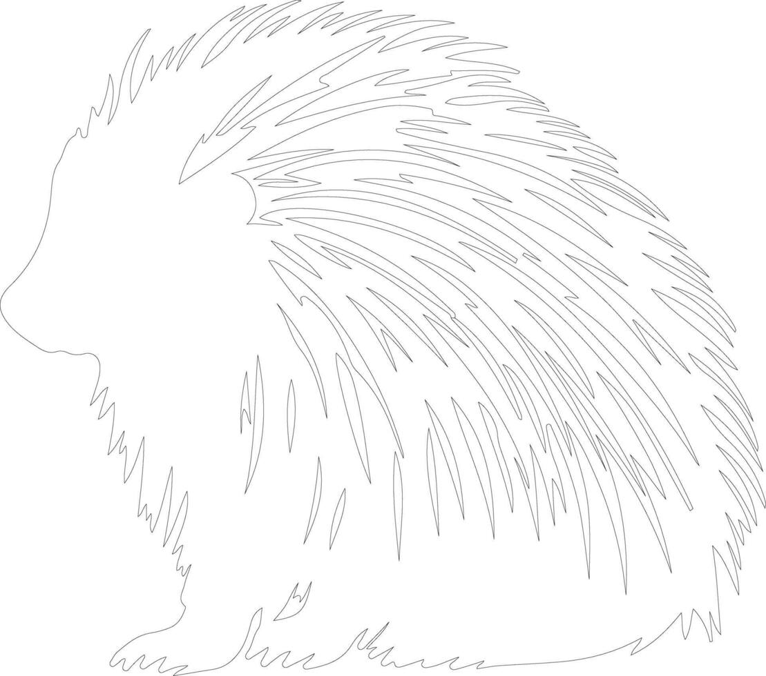 AI generated North American porcupine  outline silhouette vector