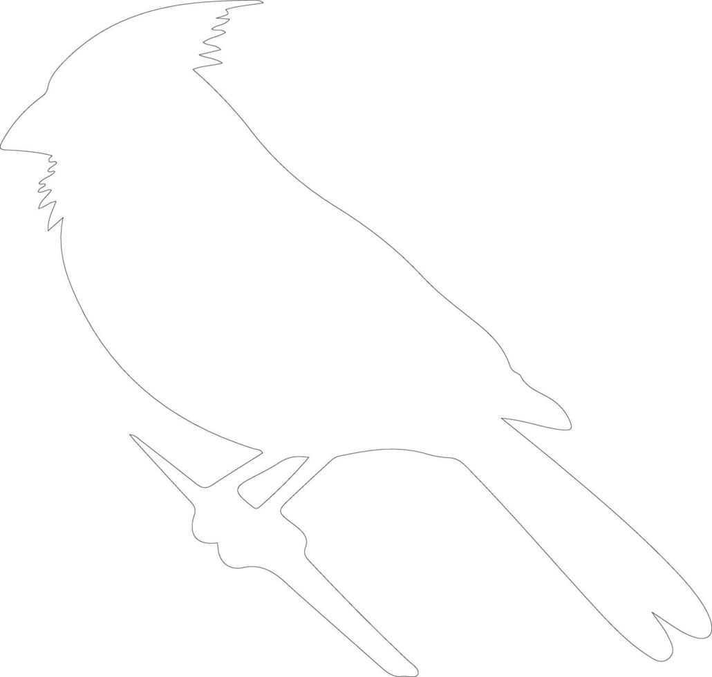 AI generated northern cardinal  outline silhouette vector