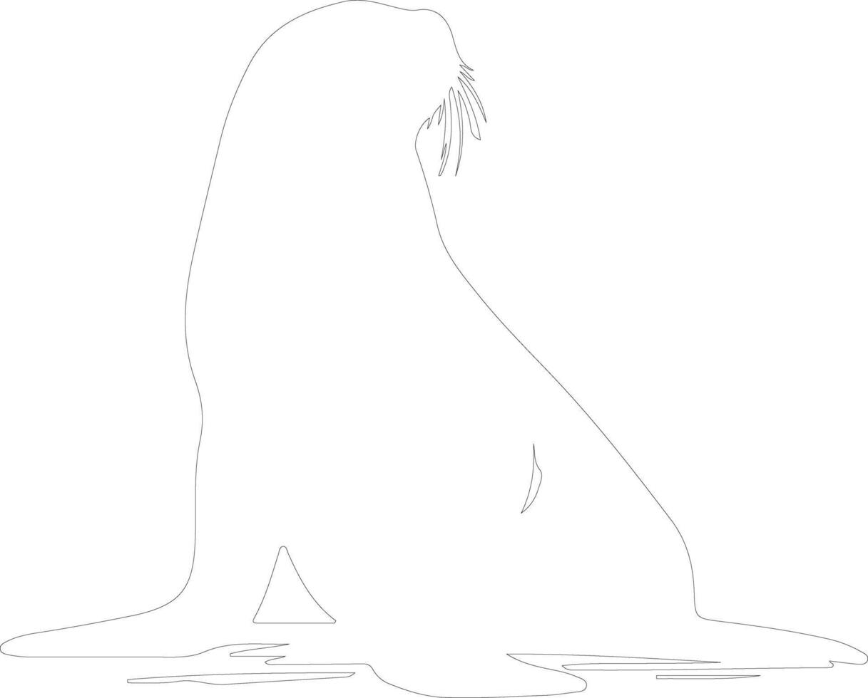 AI generated northern fur seal  outline silhouette vector