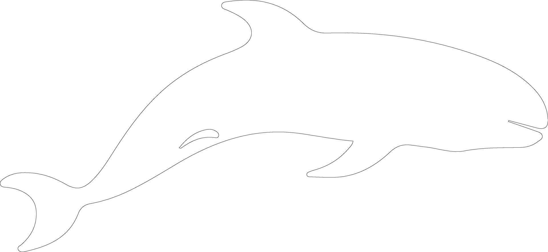 AI generated northern right whale outline silhouette vector