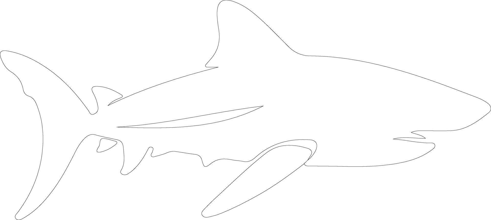 AI generated nurse shark  outline silhouette vector