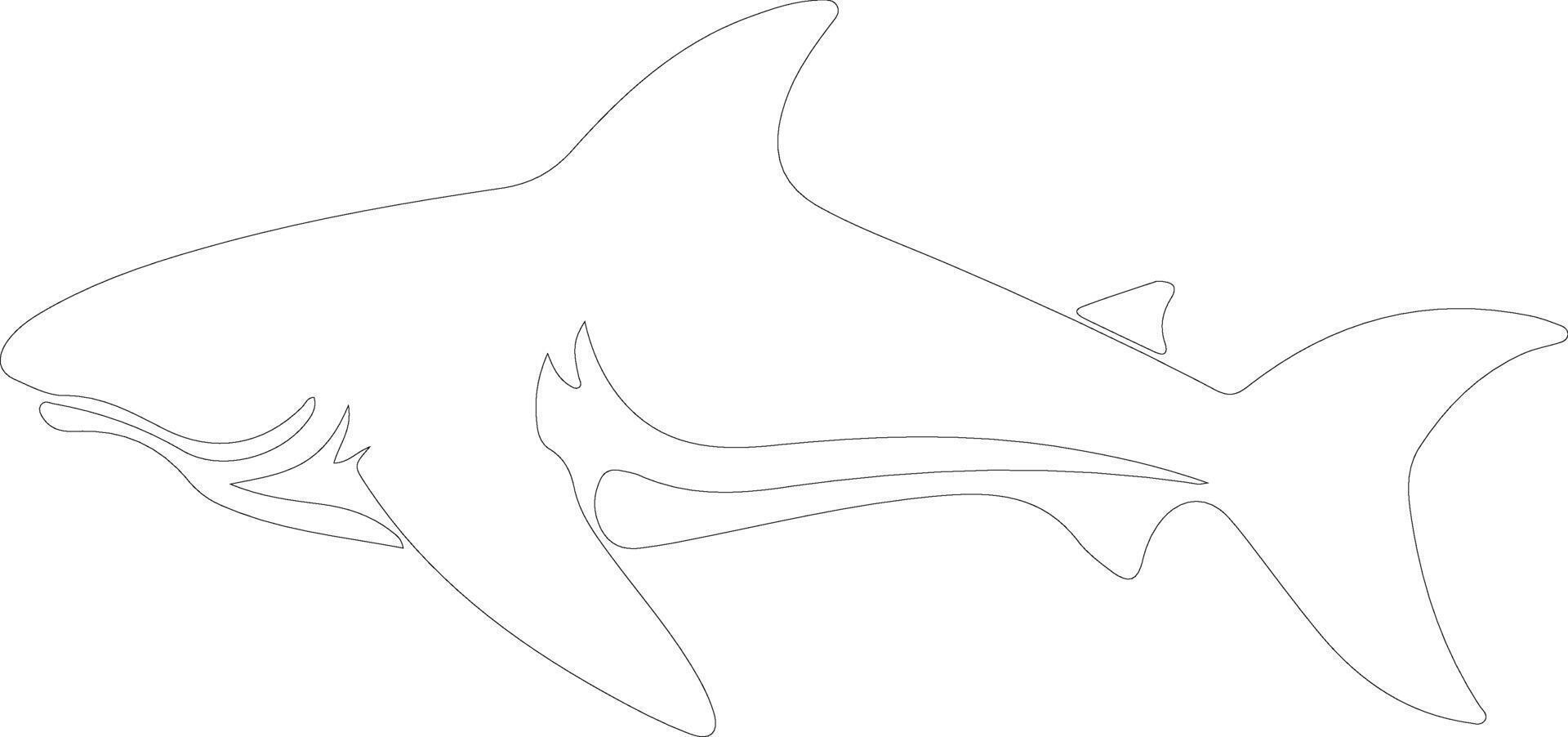 AI generated nurse shark  outline silhouette vector