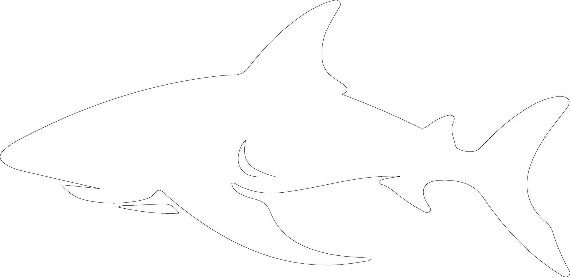 AI generated nurse shark  outline silhouette vector