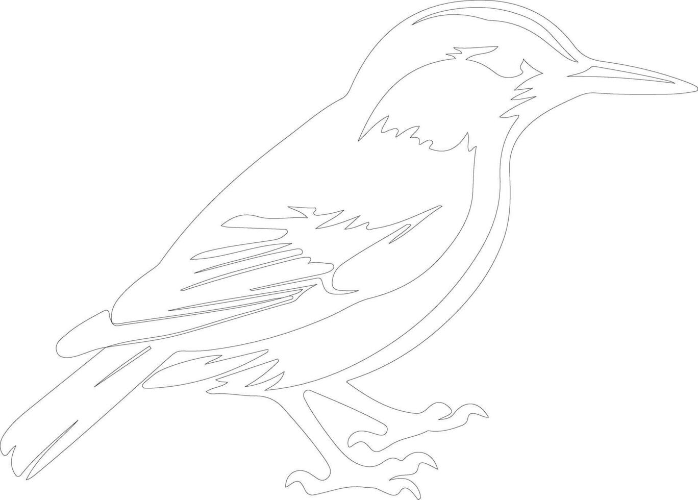 AI generated nuthatch  outline silhouette vector