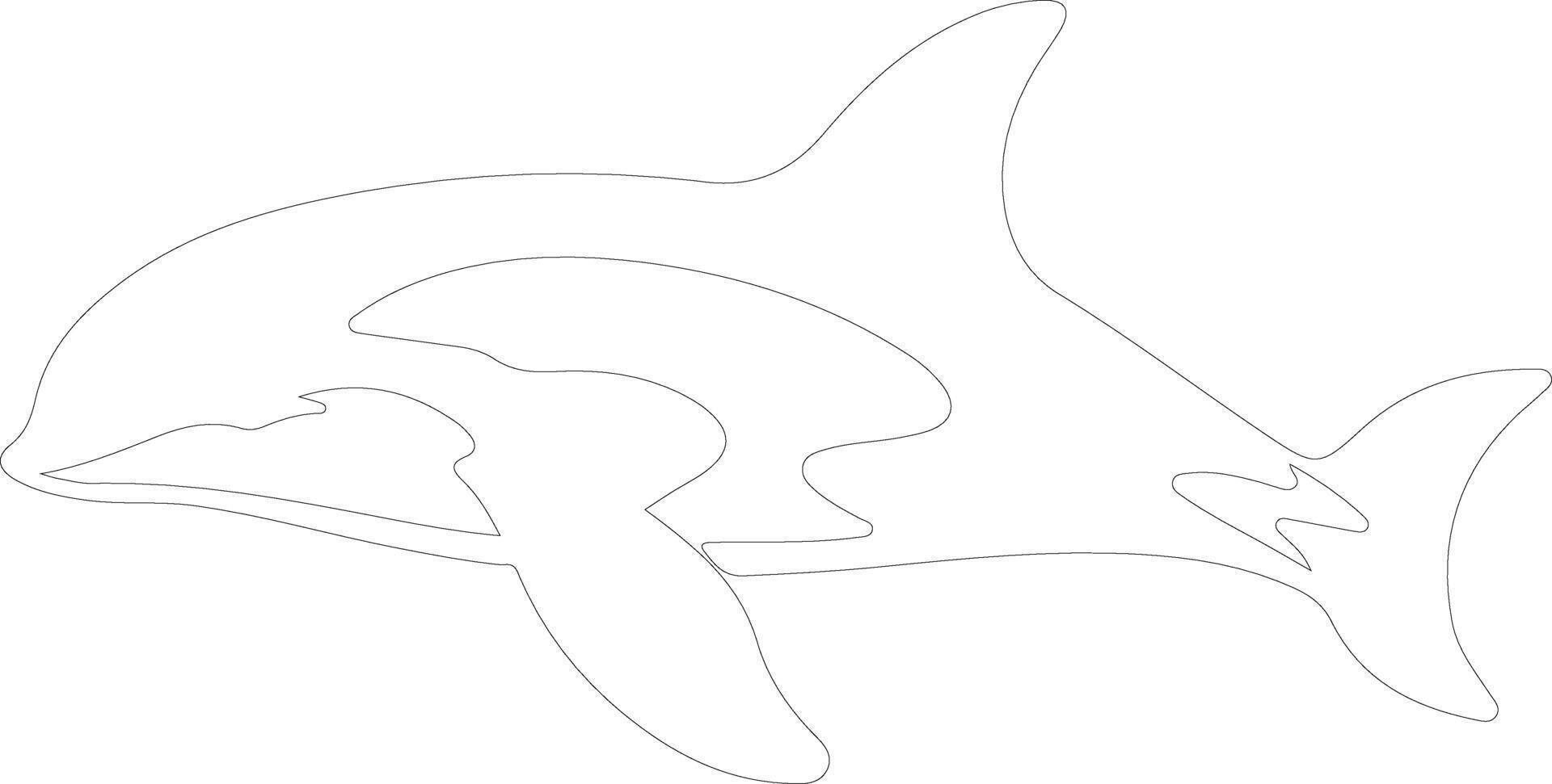 AI generated orca  outline silhouette vector