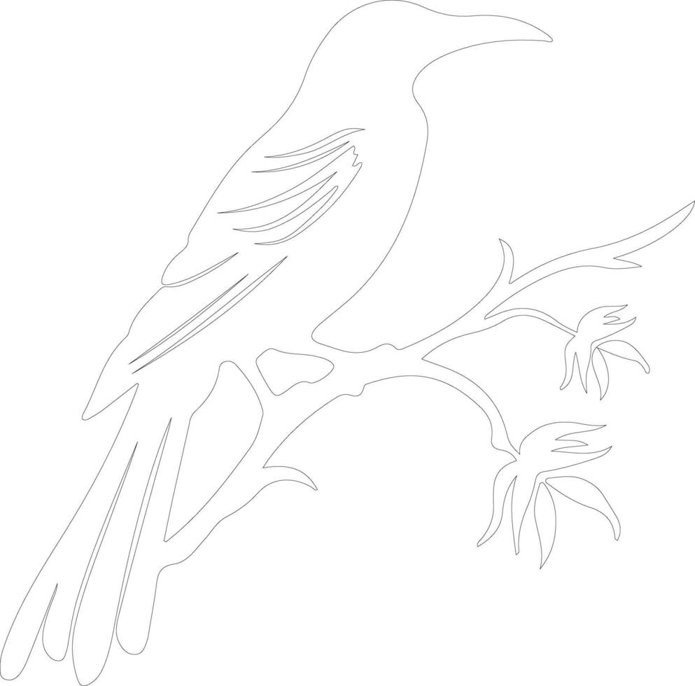 AI generated oropendola  outline silhouette vector