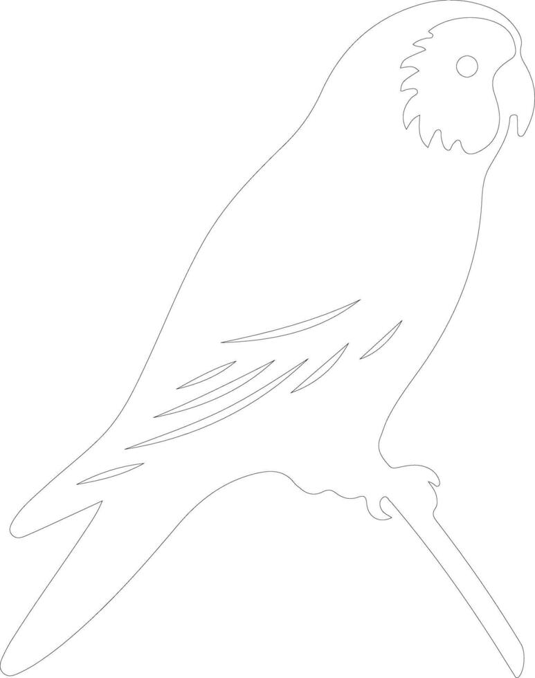 AI generated parakeet  outline silhouette vector