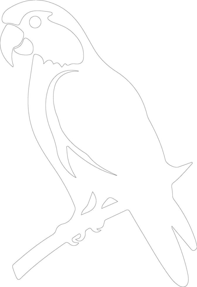 AI generated parrot  outline silhouette vector