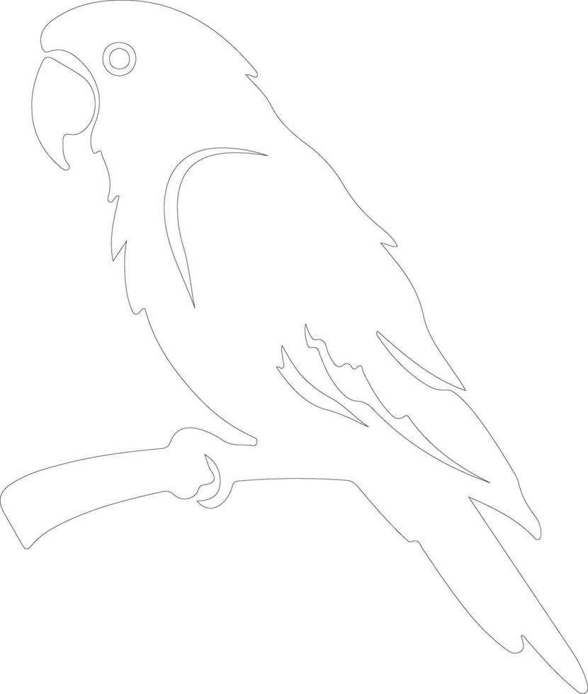 AI generated parrot  outline silhouette vector