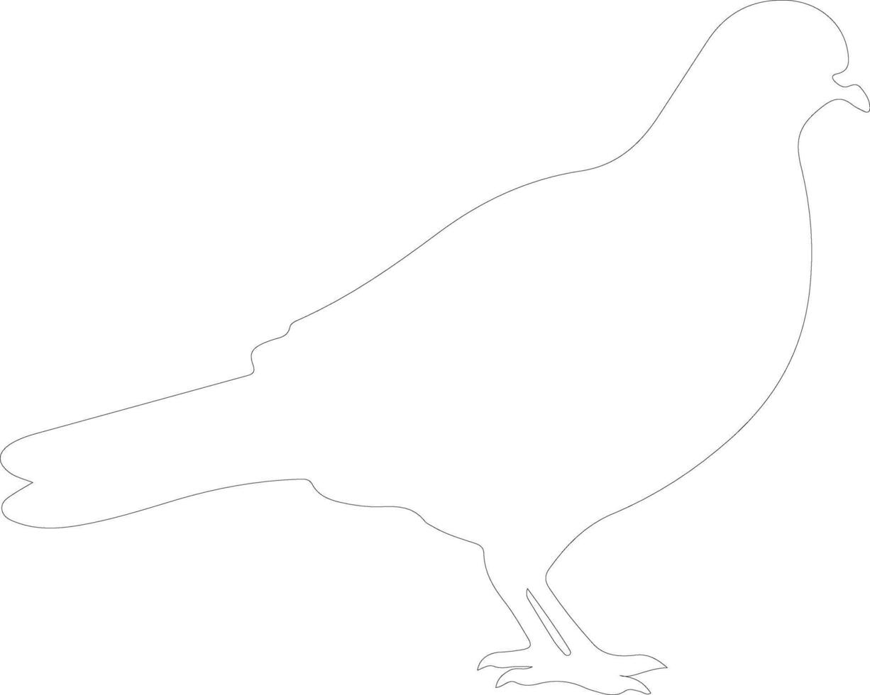 AI generated pigeon  outline silhouette vector