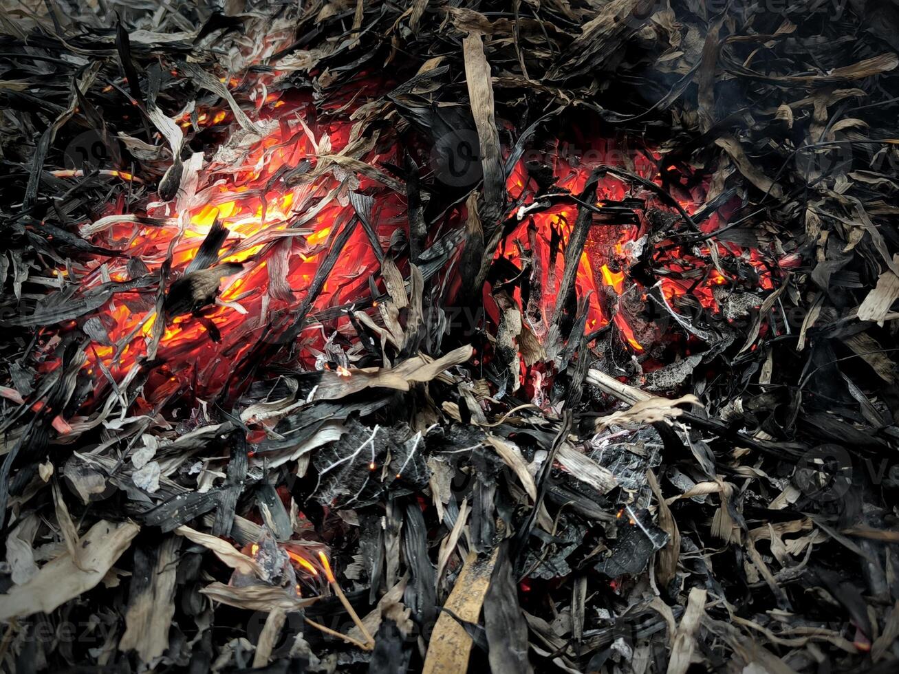 The remains of burnt dry bamboo leaves photo