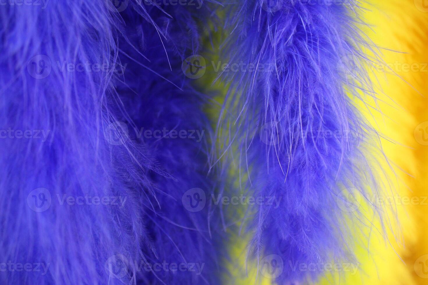 Vibrant Blue and Yellow Feather Boa Background Texture photo