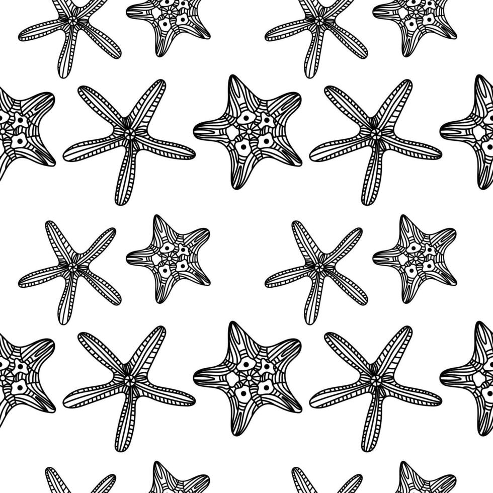 Seamless pattern with vintage linear seashells on a white background vector
