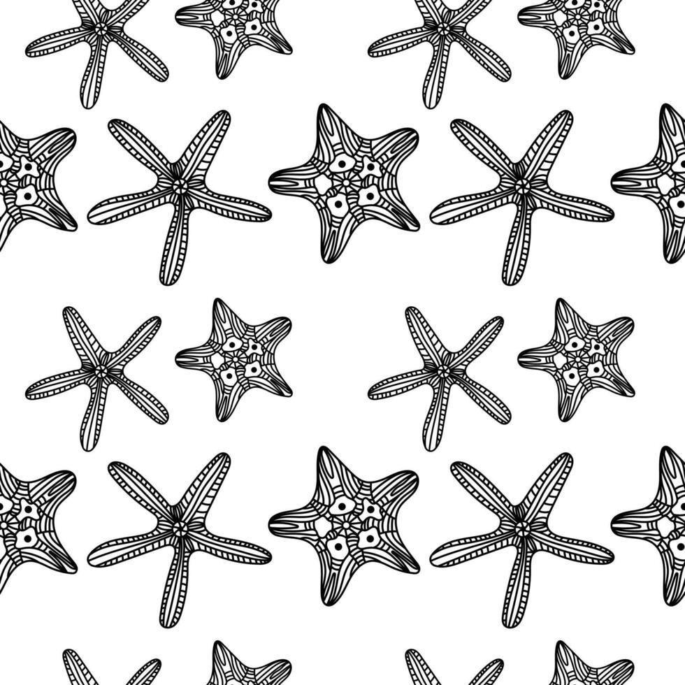 Seamless pattern with vintage linear seashells on a white background vector