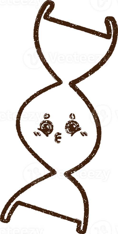 DNA Strand Charcoal Drawing png