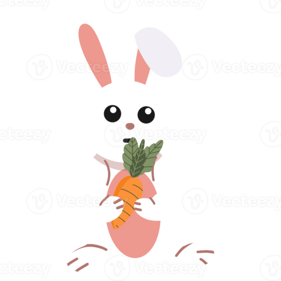 Cute rabbit holding carrots icon png