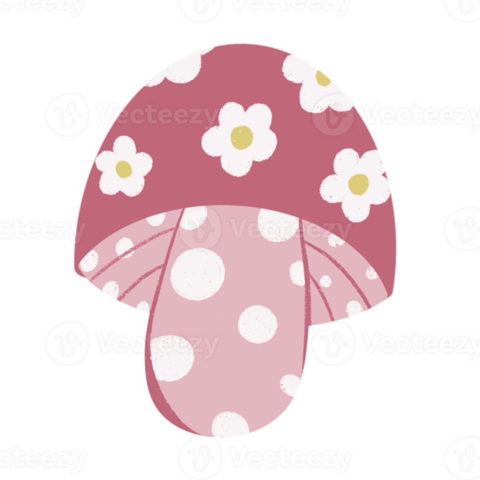 Spring mushroom illustration png